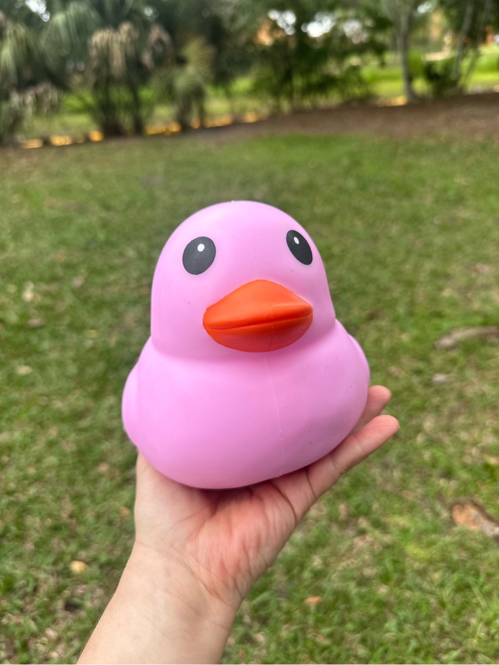 Toymendous Laffy Quack Viral Squish - Pastel Aqua Squishy. Ships FAST!